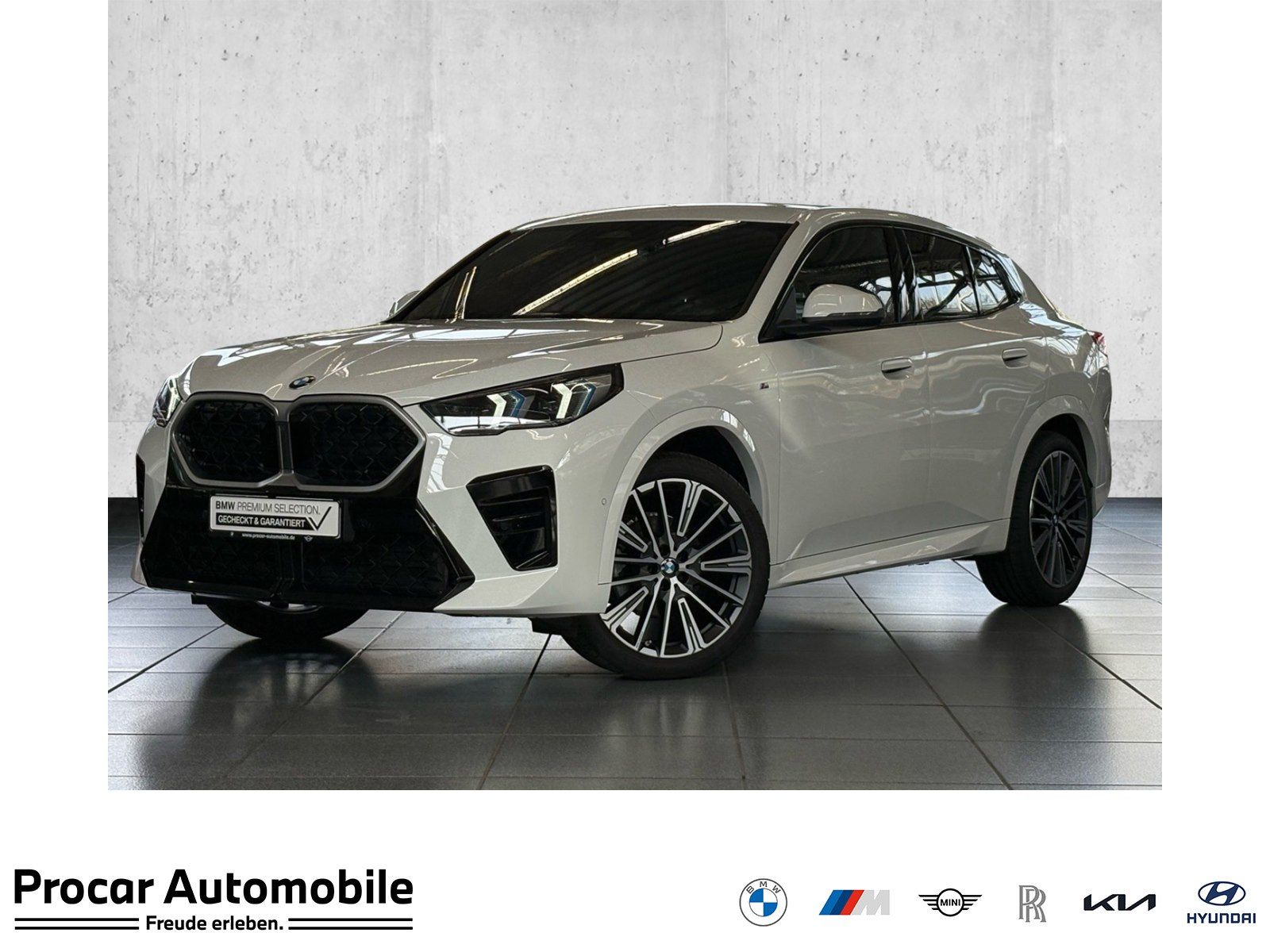 BMW X2 xDrive20d M Sport DA+ PA AdapLED RFK ACC H/K