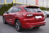 Ford Kuga PHEV ST-Line X B&O ACC Kamera Winterpaket - Ford Kuga: Plug-In Hybrid