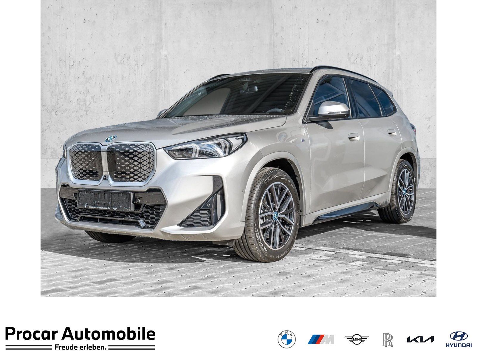 BMW iX1 xDrive30 MSport + DApl. + PApl. + H/K + 18"