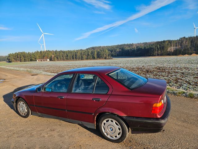 BMW 316i 