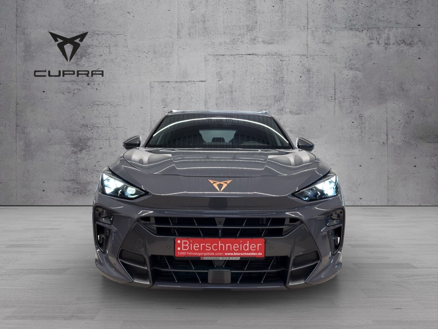 Cupra Terramar - Bild 2