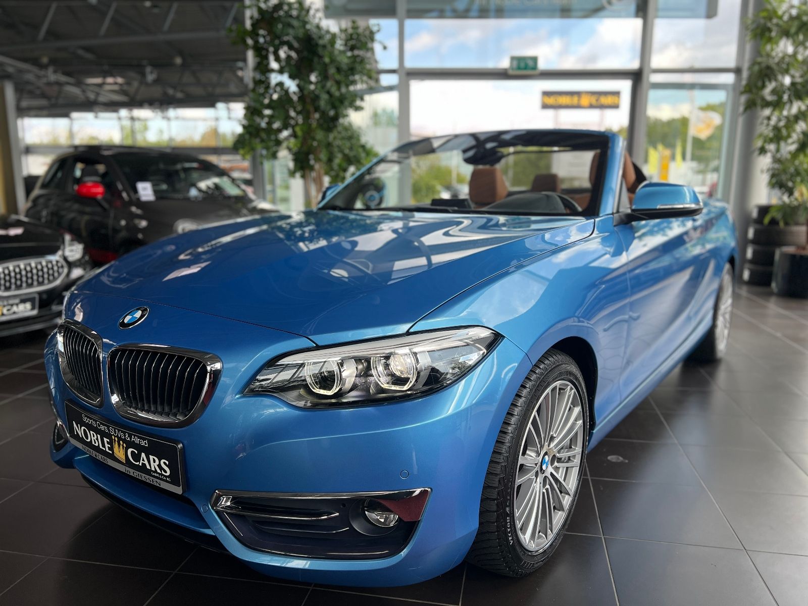 Fahrzeugabbildung BMW 220i Cabrio Luxury Line NAV LED PDC