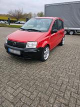 Fiat fiat panda - Fiat Panda
