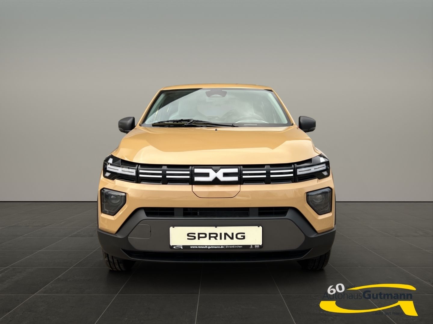 Fahrzeugabbildung Dacia Spring Electric Expression 65 Fahrerprofil DAB S