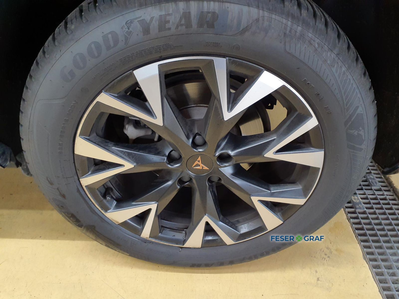 Cupra Terramar - Bild 6