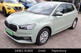 Skoda Fabia 1,0 TSI Selection Sitzh WSSH Kamera 15 Zol