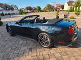 Ford Mustang 2.3 EcoBoost Cabriolet  - gebrauchte Ford Mustang aus dem Jahr 2022