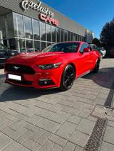 Ford Mustang 2.3 EcoBoost A/T, 233kW, A6, 2d. - Ford Mustang mit Benzin-Antrieb: Limousine