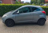 Ford Ka 1,2 Liter - Ford Ka/Ka+ in Osnabrück