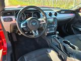 Ford Mustang 5.0 Ti-VCT V8 GT  - Ford Mustang in Ludwigshafen