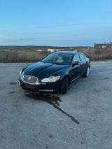 Jaguar XF 250 2.7D - Jaguar XF: 2.7