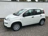 Fiat Panda 1.0 GSE Pandina Hybrid 2024 Sitzheizung - Fiat Panda Gebrauchtwagen in Aachen