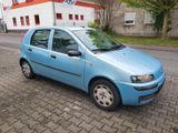 Fiat Punto 1.2 8V Active Tüv Neu - Fiat Punto aus 2002: 1.2