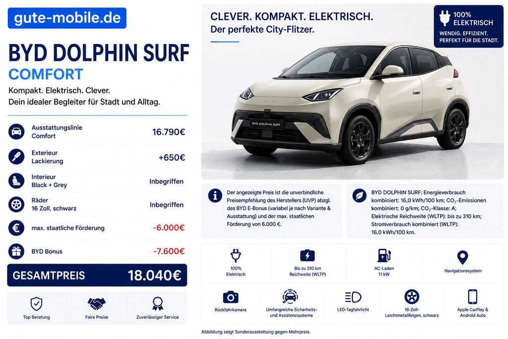 BYD Dolphin Surf