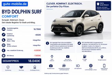 BYD Leasingangebot: BYD Dolphin Surf Comfort