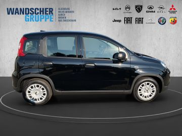 Fiat Panda 1.0 Mild Hybrid MY24 PDC TEMPOMAT SPURHALT