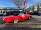 Ford Thunderbird Cabrio 6.4l V8 300 PS H-Zulassung - Ford Thunderbird: Cabrio