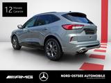Ford Kuga 2.0 EcoBlue Hybrid ST-LINE PANO WINTER SHZ - Ford Kuga mit Panoramadach
