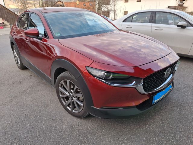 Mazda CX-30 Design Paket LED  Navi DAB