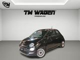 Fiat 500 1.2 Lounge 69cv dualogic - Fiat 500 mit Benzin-Antrieb: Limousine, Automatik