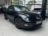 Volkswagen Beetle Lim. Cup AUTOMATIK*Panorama*uvm. - Volkswagen Beetle: Schwarz