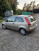 Ford Fiesta 1,3 51 kW Viva Viva - Ford Fiesta Viva mit Benzin-Antrieb