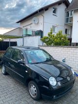 Volkswagen VW Lupo 1.0 | Benziner | 50 PS | 166.634 km - Volkswagen Lupo: 16v