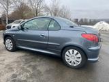 Peugeot 206 Cabriolet CC Platinum - Peugeot 206 aus 2006: 206cc