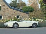 Austin Healey 100 BN1 mit Le Mans Specification - Austin Healey: Bn1