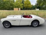 Austin Healey BN1 (100-4) M Spezifikation Denis Welch ZK - Austin Healey: Bn4