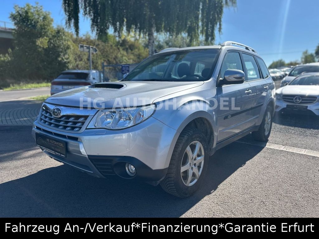 Angebot ansehen Subaru Forester