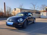 Volkswagen Beetle 1.2 TSI BMT ALLSTAR Cabriolet ALLSTAR - VW Beetle von privat