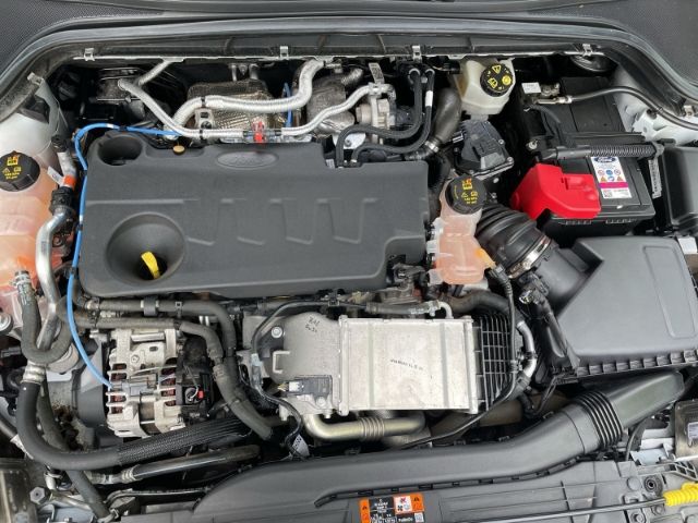 Fahrzeugabbildung Ford Focus 2.0 EcoBlue ST-Line AHK, Navi, Rückfahrkam