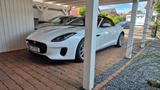 Jaguar F-Type Cabrio P300 Convertible, Top-Zust. - Jaguar Gebrauchtwagen in Braunschweig