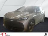 Cupra Tavascan Endurance 286PS/77kWh GJR+MATRIX+NAVI - graue Cupra Tavascan
