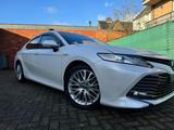 Toyota Camry 2,5-l-VVT-i Hybrid Executive Auto Exec... - Toyota Camry: Limousine