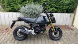 Honda Grom  MSX 125  - HONDA MSX 125