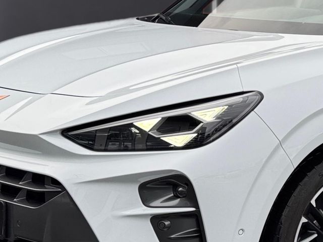 Terramar 2.0 TSI 4Drive VZ AHK Pano HuD