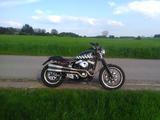 Harley-Davidson XLH1200 XL Sportster Storz - HARLEY-DAVIDSON XLH 1200 SPORTSTER