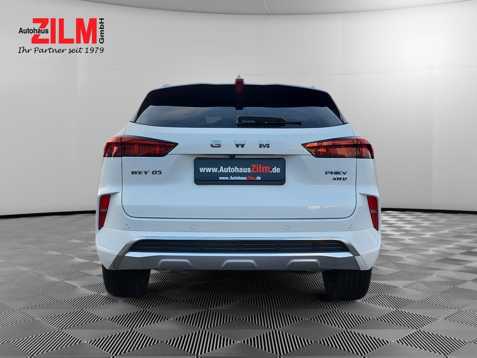 GWM Wey 05 - Bild 9