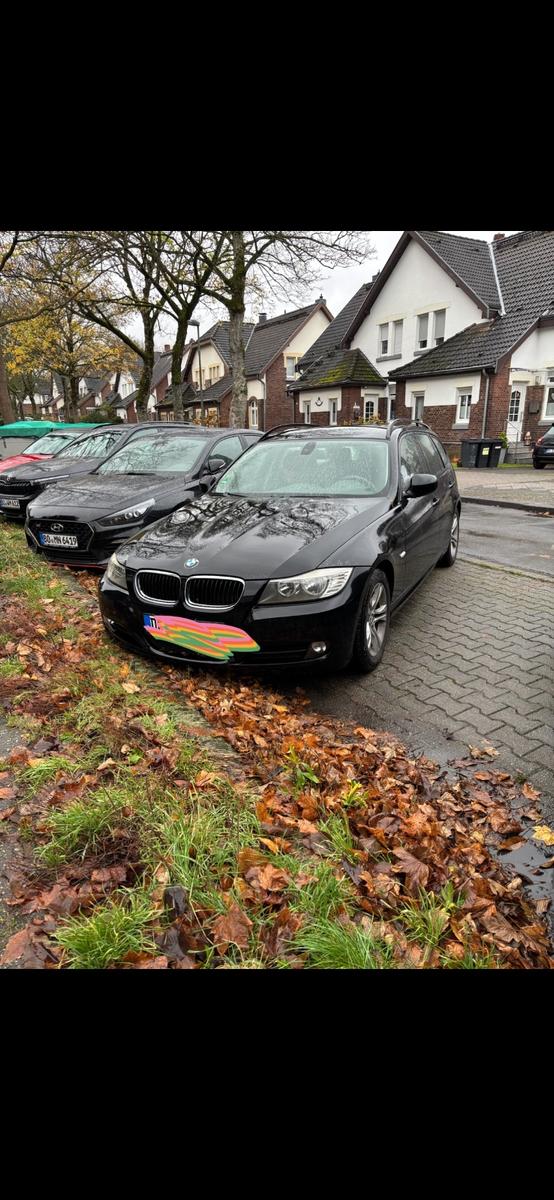 BMW 318 2010 — вигляд ззаду