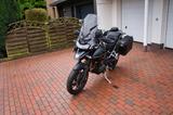 Triumph Tiger 1200 GT Pro mit Werksgarantie bis 09/2026 - TRIUMPH 1200 TIGER PRO GT