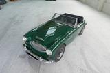 Austin Healey Andere