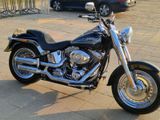 Harley-Davidson Fatboy - HARLEY-DAVIDSON MAINZ
