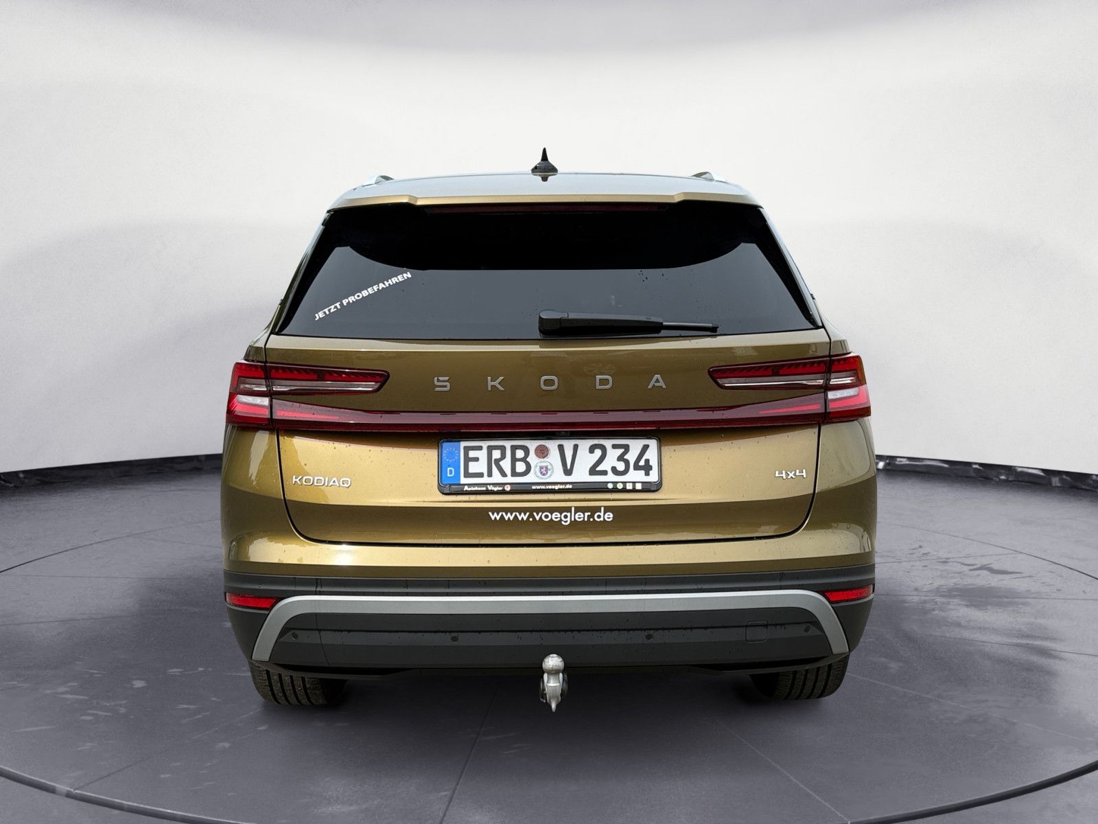 Kodiaq 2.0 TDI Selection 142 kW 4x4 DSG AHK Cant