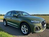Audi Q5 40 TDI S line |Matrix|OLED|Pano|ACC|B&O