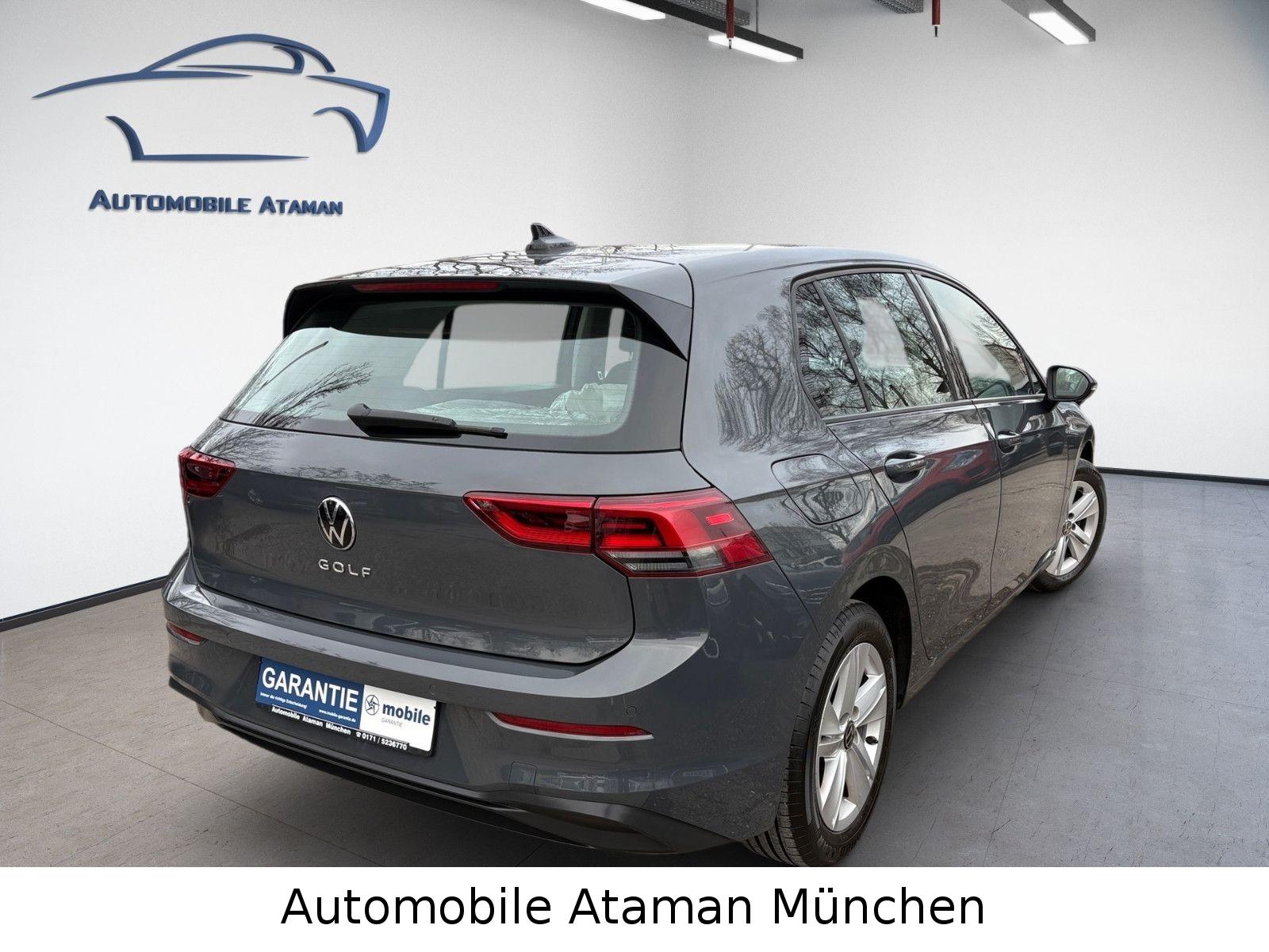 Volkswagen Golf VIII TSI Lim. Life / Navi / LED / Panorama, миниатюра 5