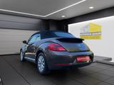 Volkswagen Käfer Beetle Cabriolet Design BMT Service-Neu - Volkswagen Käfer: Roadster