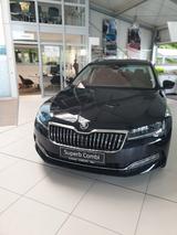 Skoda Superb Combi Style - Skoda Superb Tageszulassungen
