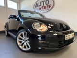 Volkswagen BEETLE 2.0 TDI CABRIO*BT*TMP*NAVI TEL*LM 18 ZOLL - Volkswagen Beetle mit Diesel-Antrieb: Cabrio